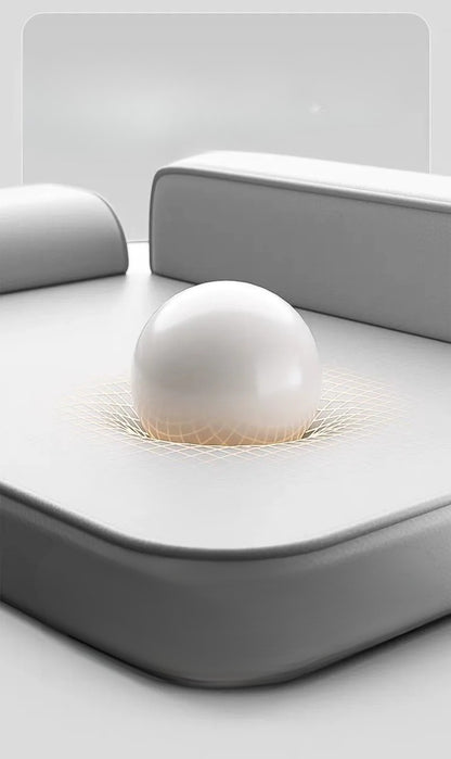 tapis chien toutes saisons