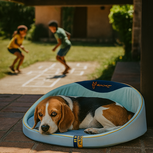 tapis pour chien amovible beagle