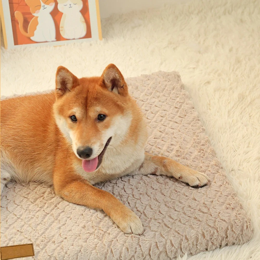 Tapis pour chien carpet case chien Akita Inu 