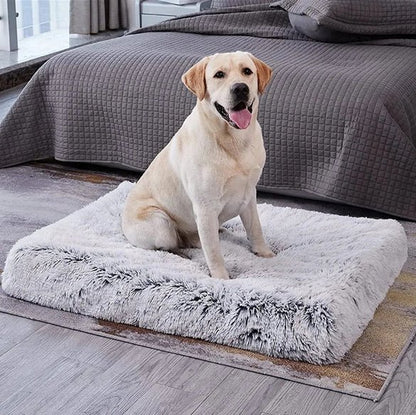 Tapis pour chien - Squaredoggy™️ - Bonheur de chien