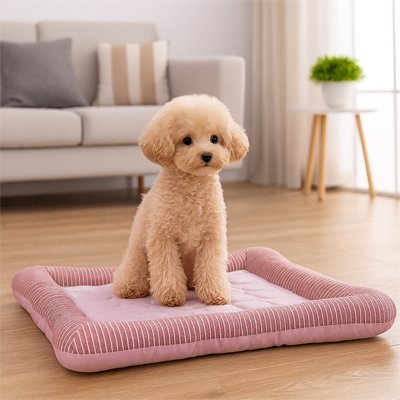 Tapis Rafraîchissant Chien | Confort Estival™️ - Bonheur de chien