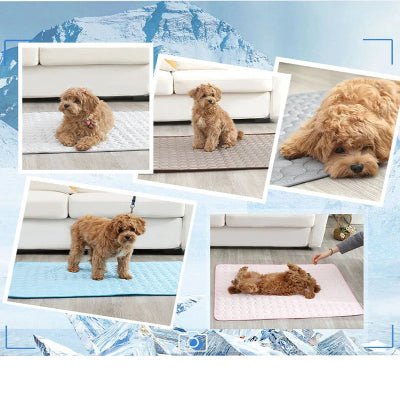 Tapis rafraichissant chien - CoolSummer™️ - Bonheur de chien