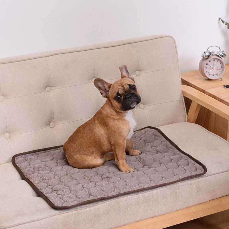 Tapis rafraichissant chien - CoolSummer™️ - Bonheur de chien