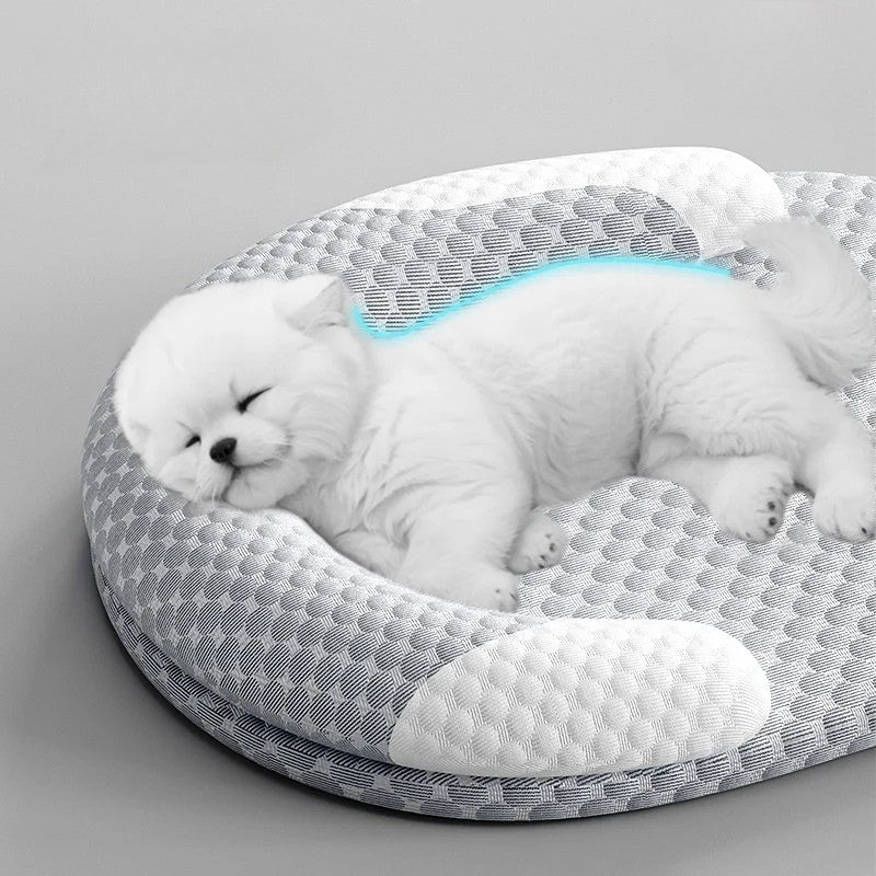Tapis rafraichissant pour chien | EnginSpacial™️ - Bonheur de chien