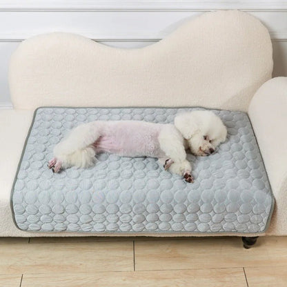 Tapis rafraichissant pour chien - Freshdog™️ - Bonheur de chien