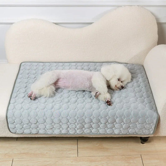 Tapis rafraichissant pour chien - Freshdog™️ - Bonheur de chien