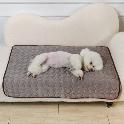 Tapis rafraichissant pour chien - Freshdog™️ - Bonheur de chien