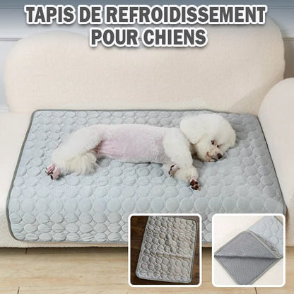 Tapis rafraichissant pour chien - Freshdog™️ - Bonheur de chien