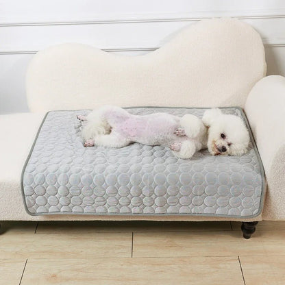 Tapis rafraichissant pour chien - Freshdog™️ - Bonheur de chien