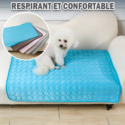 Tapis rafraichissant pour chien - Freshdog™️ - Bonheur de chien